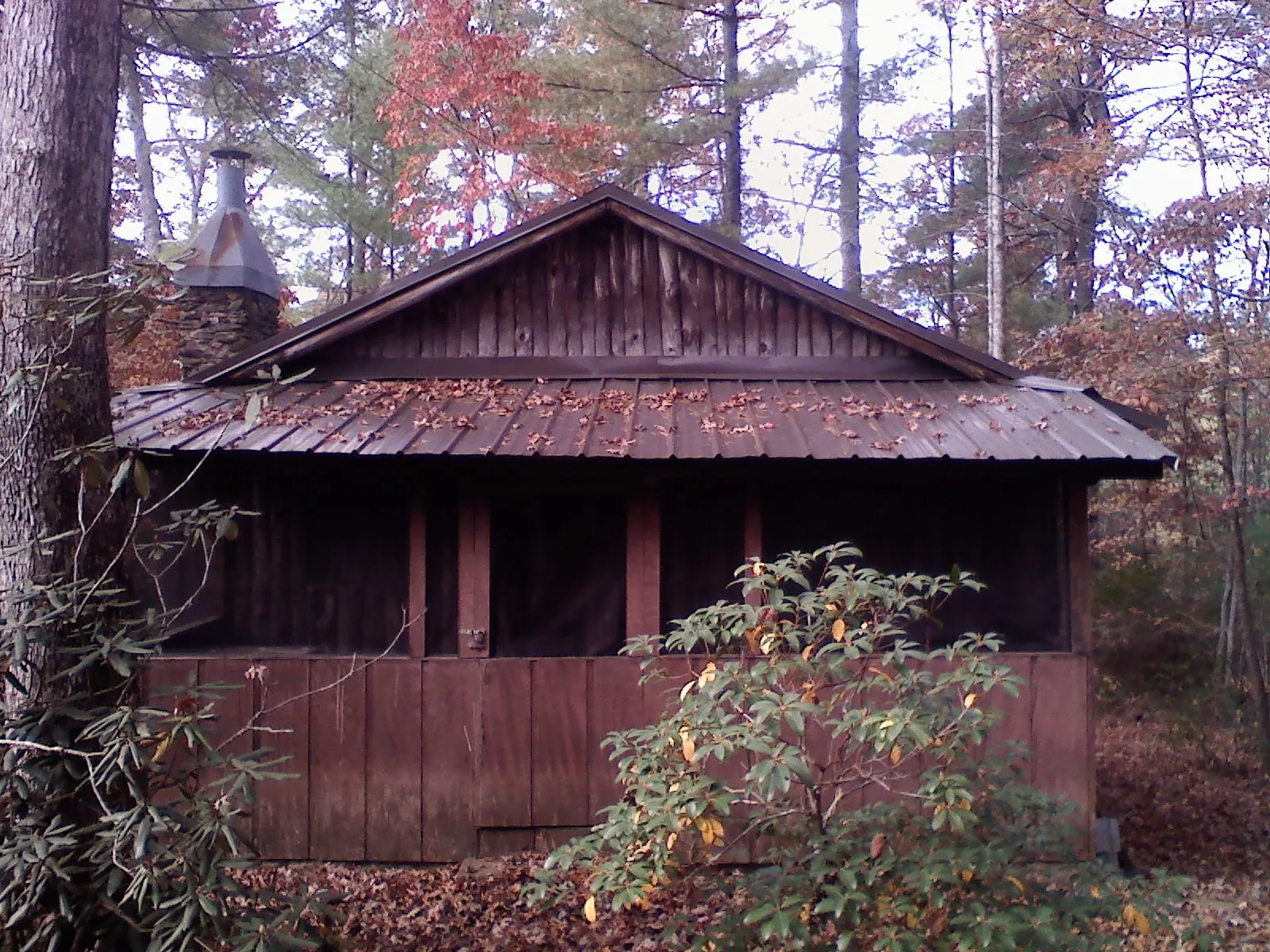 Metal roof over the screened porch of a rustic cabin in Polk City